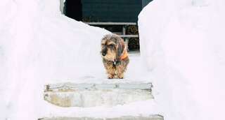 Виллы Villa Little Peak Рука Вилла-17