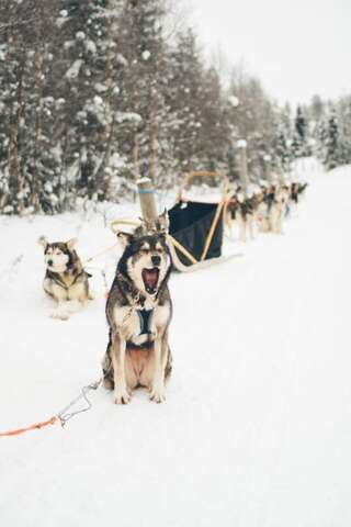 Виллы Villa Little Peak Рука Вилла-31