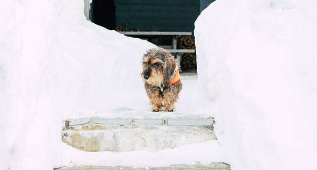 Виллы Villa Little Peak Рука-19